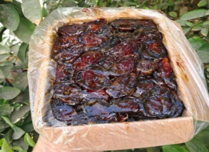 قیمت خرما کبکاب صادراتی + مشخصات بسته بندی عمده و ارزان