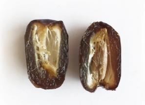 بهترین خرما رطب اعلا + قیمت خرید عالی