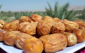 قیمت خرید خرما زاهدی زرد + مشخصات، عمده ارزان