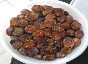 قیمت و خرید خرما برحی سطلی + فروش ارزان