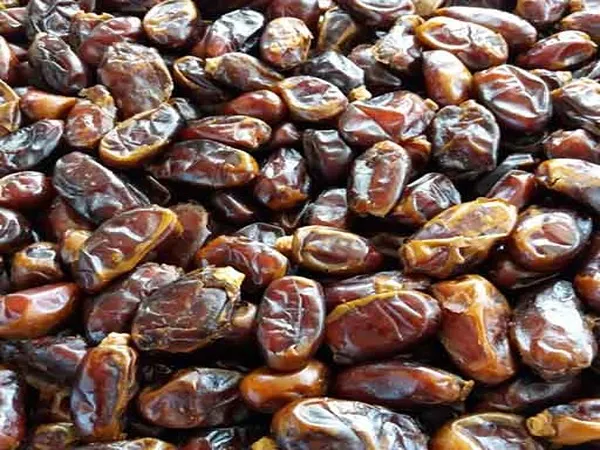 قیمت خرما استعمران خوزستان + پخش تولیدی عمده کارخانه