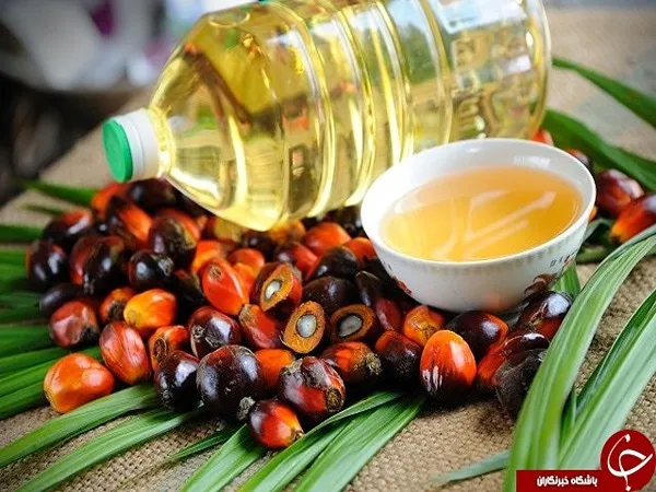 خرید روغن هسته خرما خوراکی + بهترین قیمت