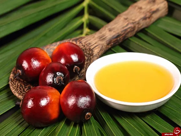 خرید روغن هسته خرما خوراکی + بهترین قیمت