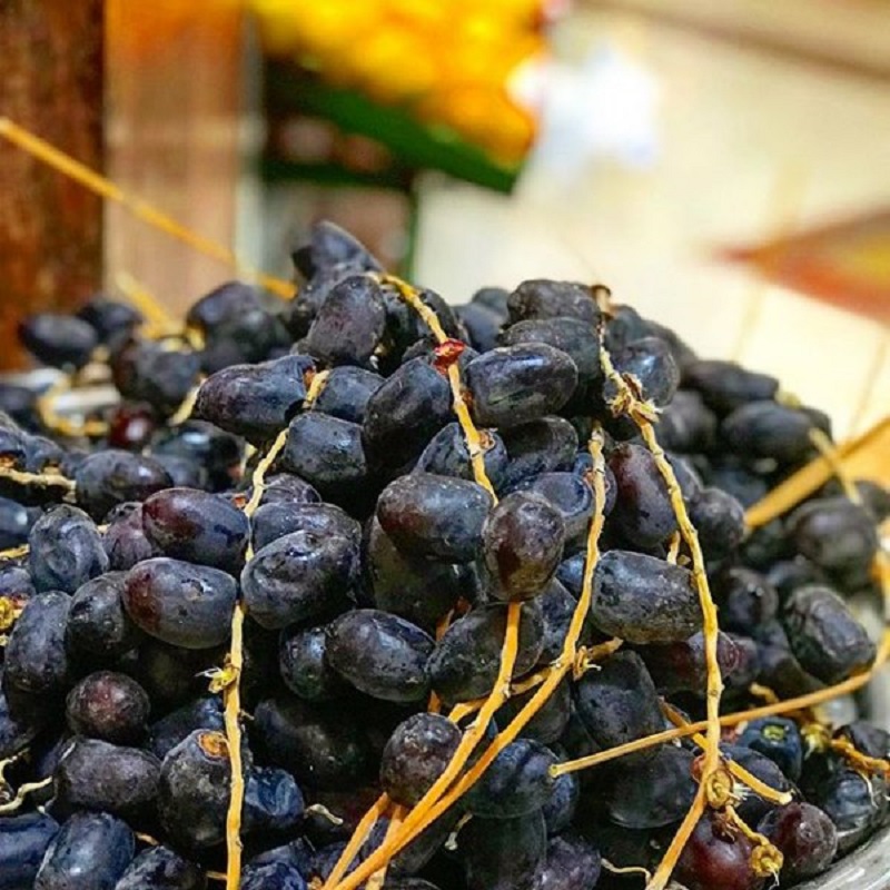 قیمت خرما مضافتی