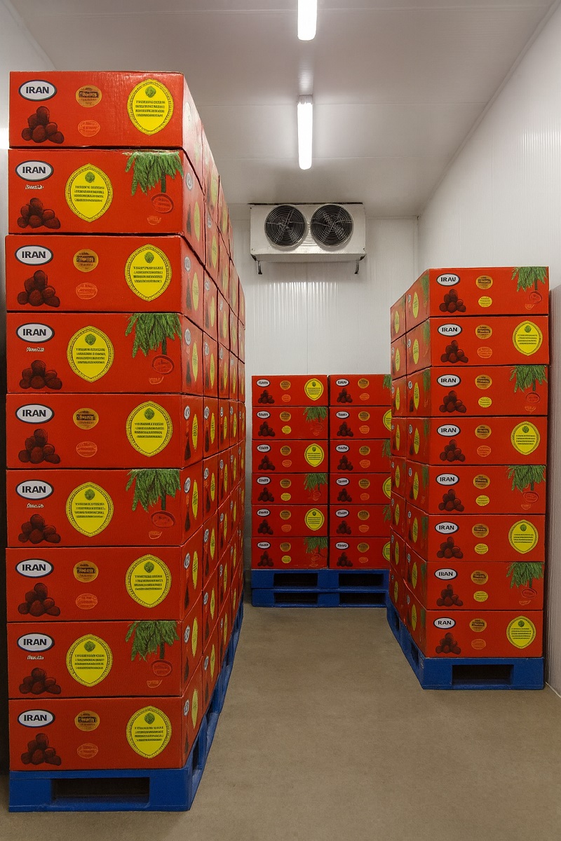 خرما مضافتی بم قیمت