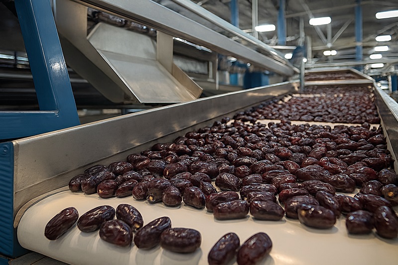 خرما مضافتی بم قیمت