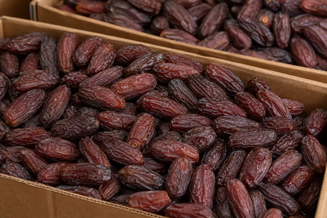 خرما پیارم صادراتی مقایسه قیمت و ارزش خرید با مضافتی